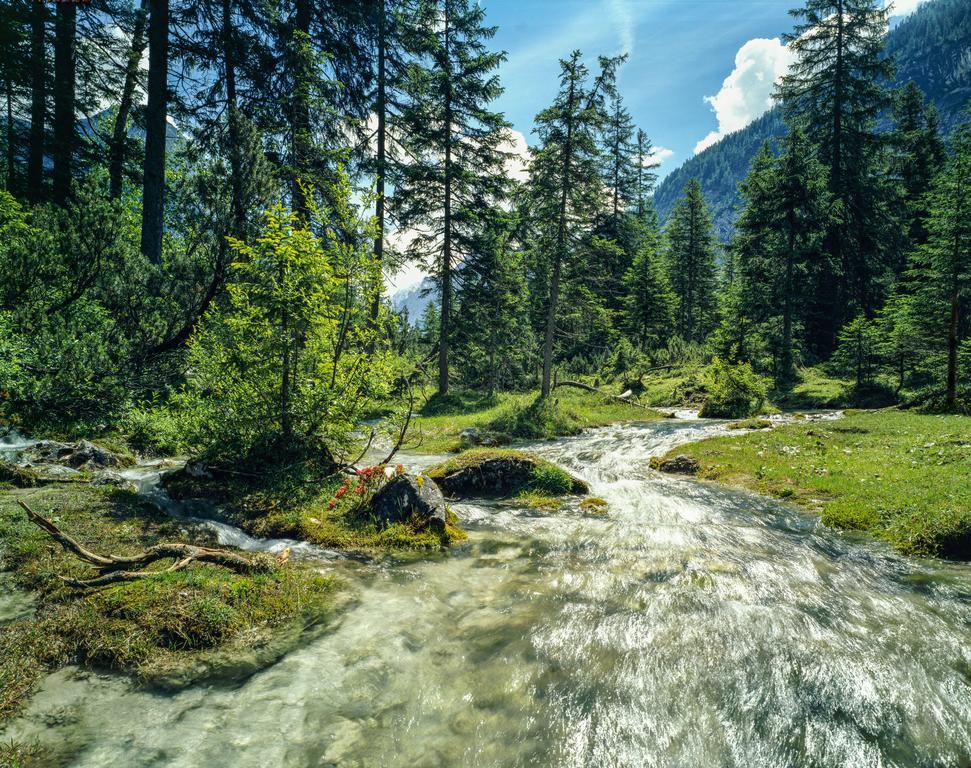 Hotel Laerchenhof Natur Seefeld in Tirol Buitenkant foto