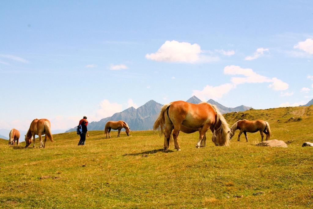 Hotel Laerchenhof Natur Seefeld in Tirol Buitenkant foto