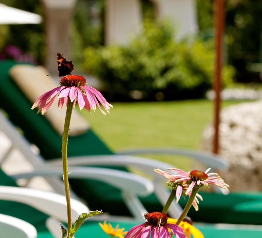 Hotel Laerchenhof Natur Seefeld in Tirol Kamer foto